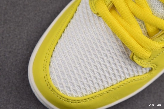 SB Schipani Xavier Be Pro Dunk Nike True DX5933-900 Low 1221